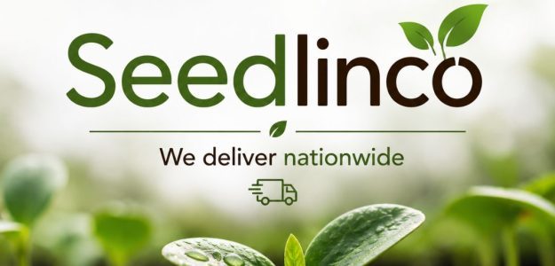 Seedlinco