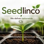 Seedlinco